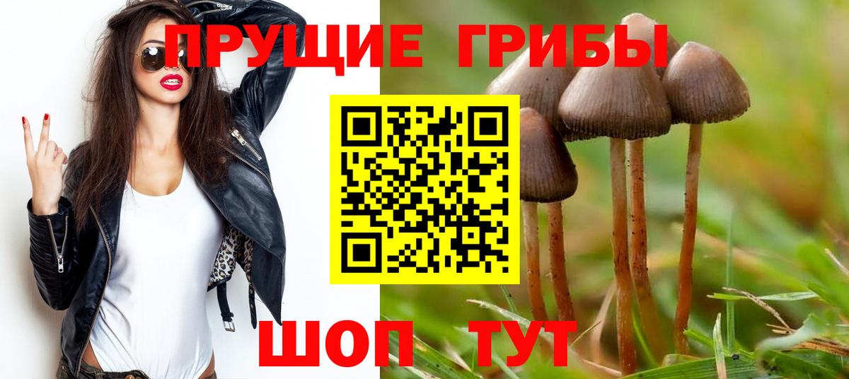 Искитим  Псилоцибиновые грибы Psilocybe  Вход с VPN  Псилоцибиновые грибы Magic Shrooms 